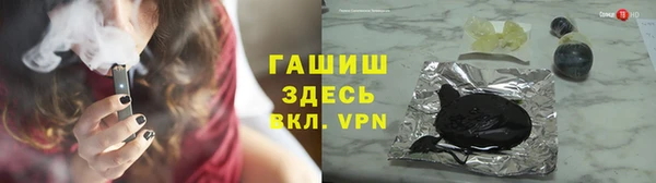 прущие грибы Аркадак