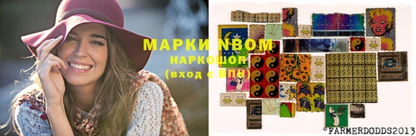 прущие грибы Аркадак