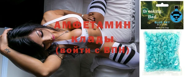 прущие грибы Аркадак