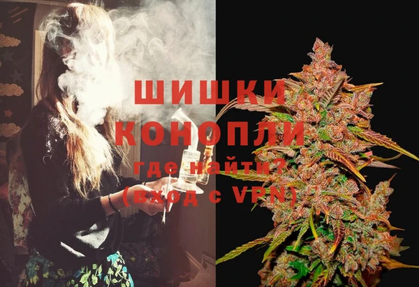 прущие грибы Аркадак