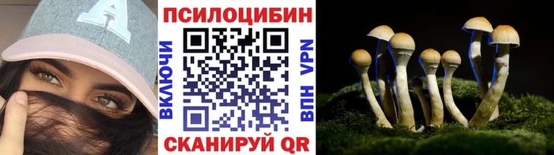 гидра как зайти  Колпашево  Галлюциногенные грибы Psilocybine cubensis  где найти  